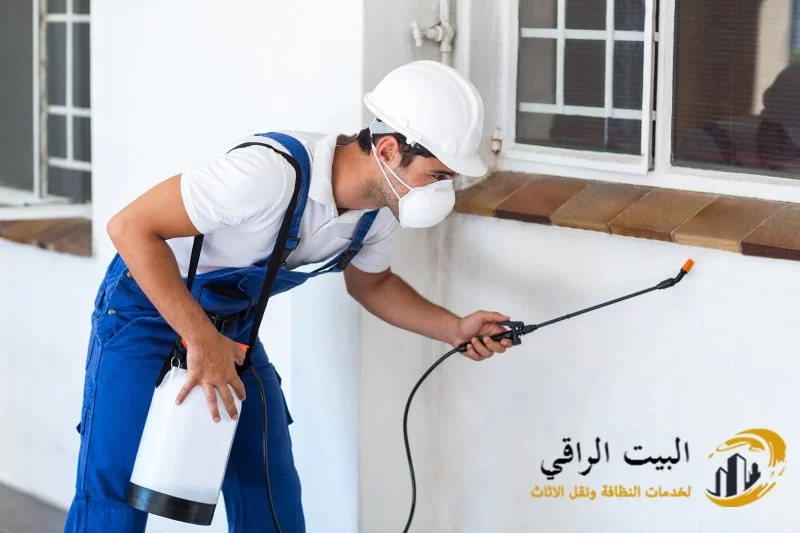 هل يوجد وصفات معينة للتخلص من النمل؟