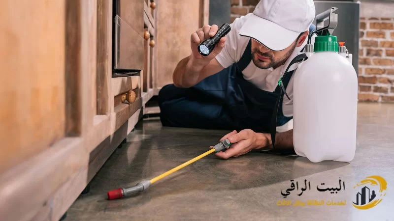 أنواع الصراصير التي نكافحها بالرياض