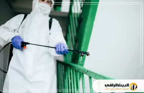 تعرف على سبب انتشار الحشرات مع البيت الراقي وطرق الوقاية الفعالة للحفاظ على بيئة صحية.