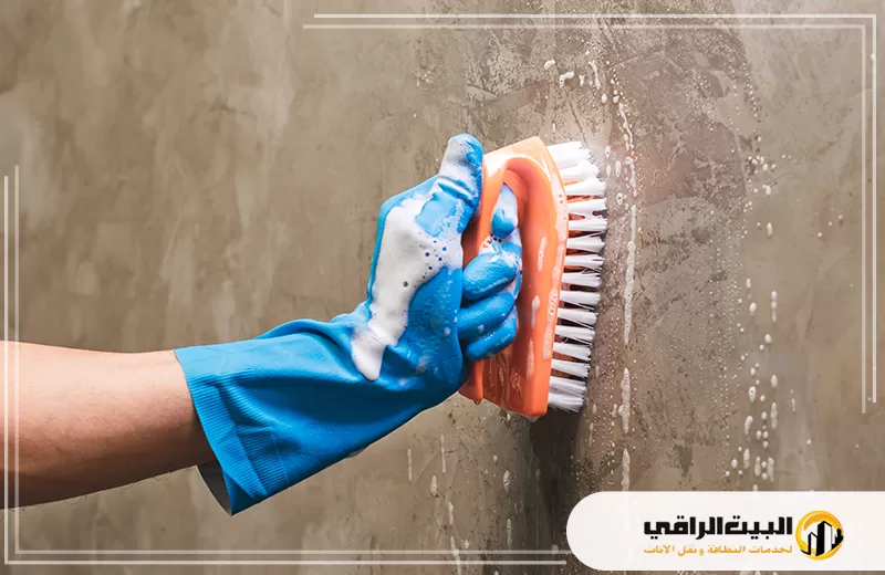 نُزيل علامات الكنب الصعبة فوراً! نستخدم حلولاً فعالة لتنظيف الجدران من آثار الكنب ونعيد لجدرانك نقاءها.